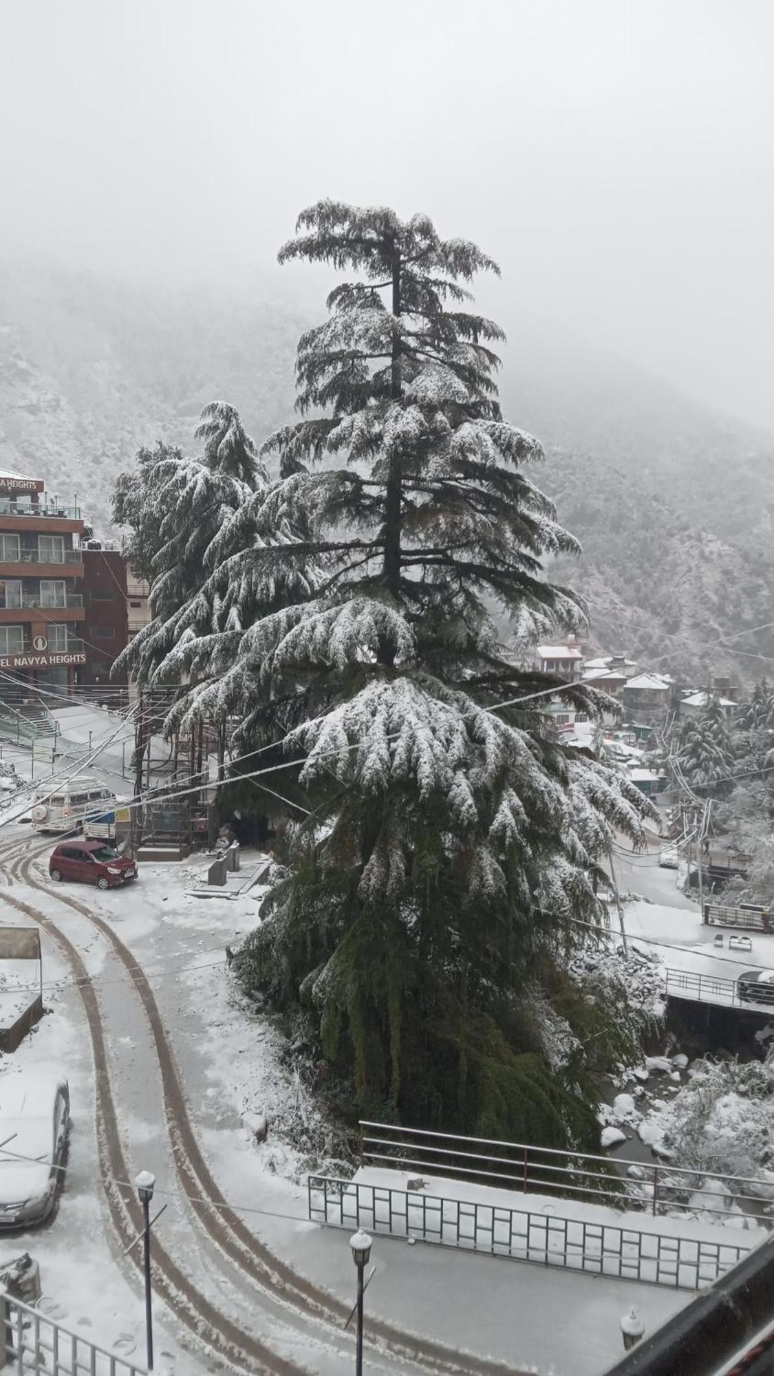Appartamento Moonlight Ridge McLeod Ganj Esterno foto