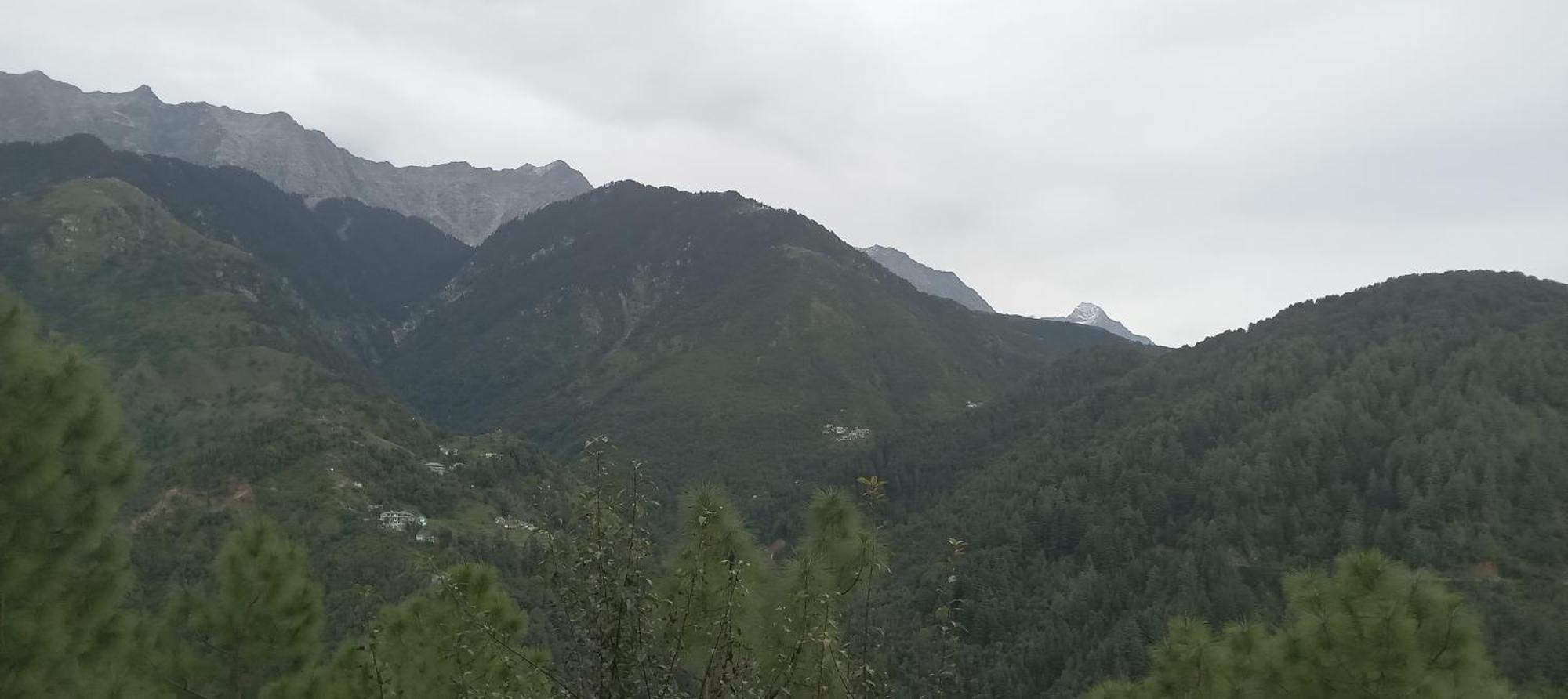 Appartamento Moonlight Ridge McLeod Ganj Esterno foto